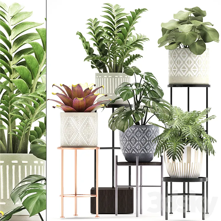 Collection of plants 333. Flower shelf stand Zamioculcas monstera Bromelia Philodendron houseplants stand Scandinavian style flower 3DS Max