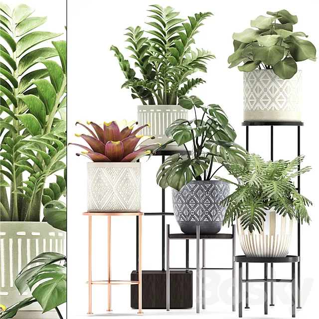 Collection of plants 333. Flower shelf. stand. Zamioculcas. monstera. Bromelia. Philodendron. houseplants. stand. Scandinavian style. flower 3DSMax File