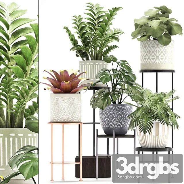 Collection of plants 333. flower shelf, stand, zamioculcas, monstera, bromelia, philodendron, houseplants, stand, scandinavian style, flower