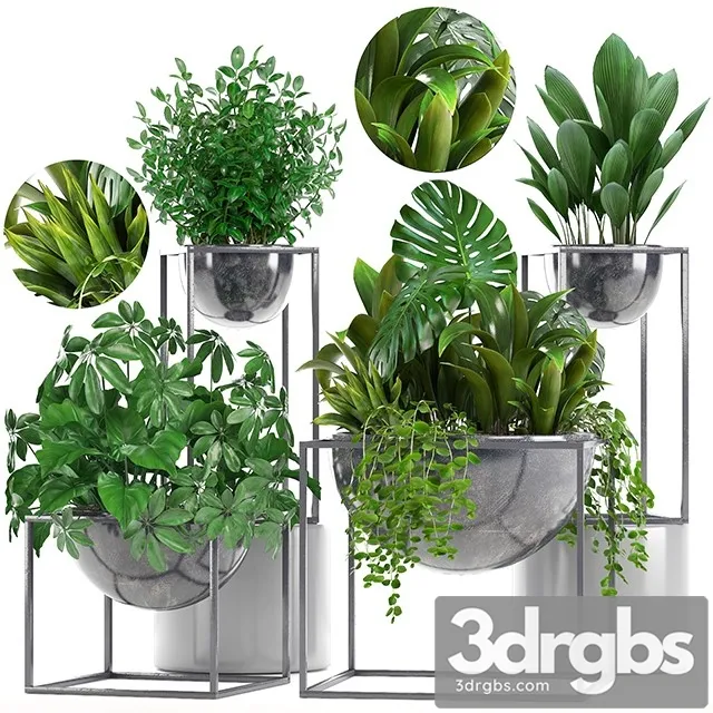 Collection of Plants 3dsmax Download