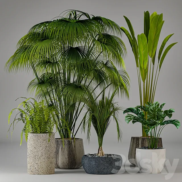 Collection of plants 3ds Max