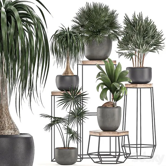 Collection of plants 525 3dsMax Model