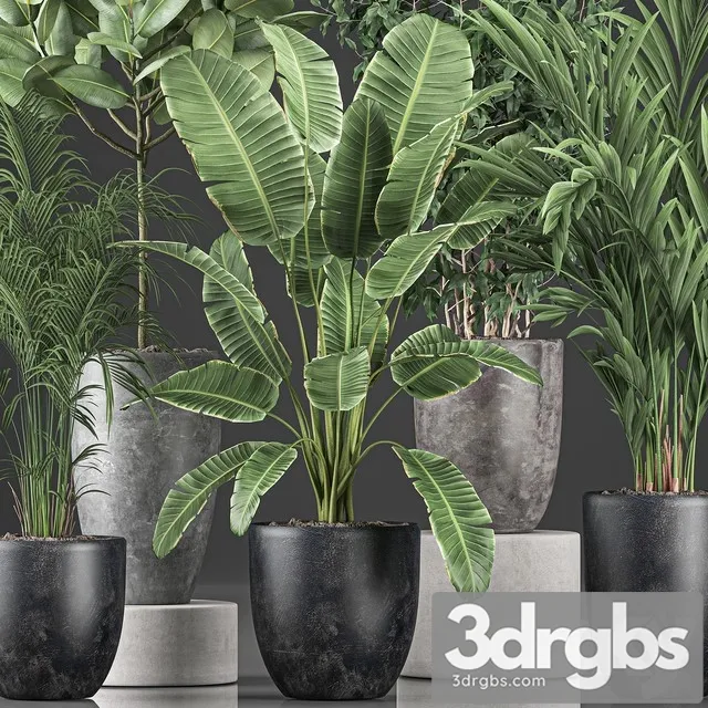 Collection of Plants 610 3dsmax Download