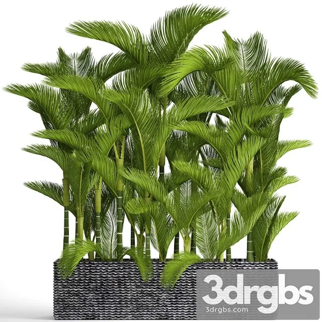 Collection Of Plants 88 3dsmax Download