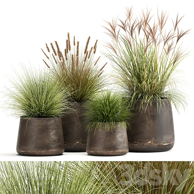 Collection of plants and bushes in rusty metal pots Reeds. grass. weinik. Set 988. 3DSMax File