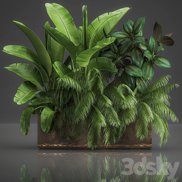 Collection of plants exotic thickets in a pot with strelitzia palm bushes ficus home garden. 1057. 3DS Max