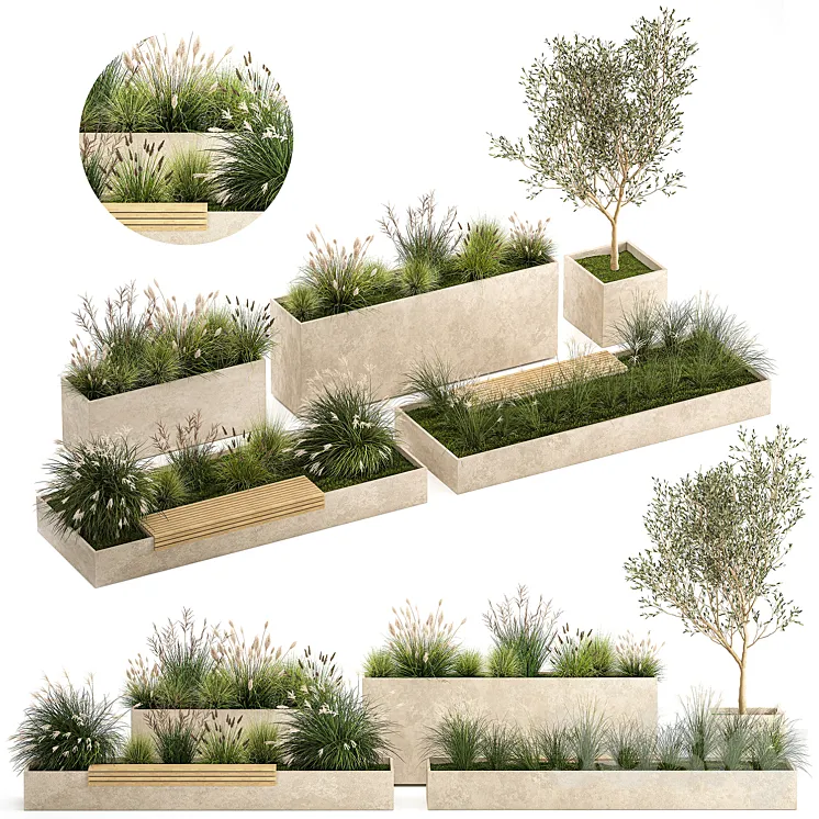 Collection of plants for the urban environment with a flower bed a bench and concrete outdoor flowerpots bushes and grass Miscanthus olive tree garden. 1141. 3DS Max Model