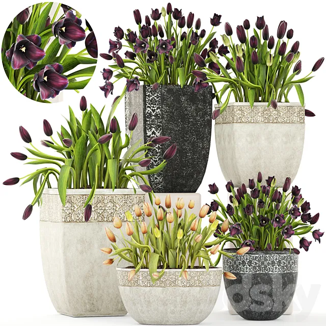 Collection of plants garden tulips 195. Flowers pot flowerpot tulip flowerbed landscaping garden 3ds Max