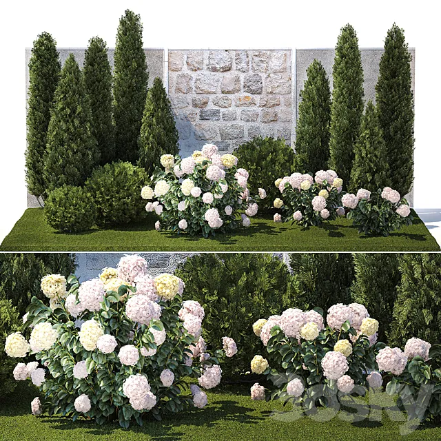 Collection of plants garden with bushes and trees for landscape design with thuja cypress flowering Hydrangea white. Set 1378. 3DS Max Model