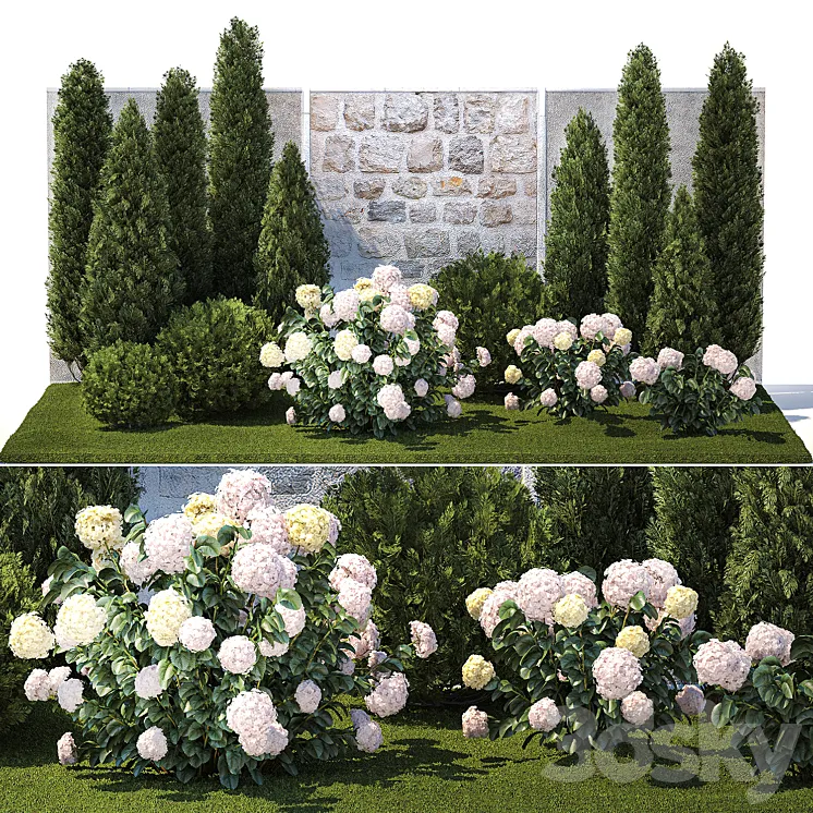 Collection of plants garden with bushes and trees for landscape design with thuja cypress flowering Hydrangea white. Set 1378. 3DS Max Model