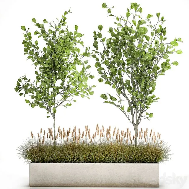 Collection of plants in a pot 1066 3dsMax Model