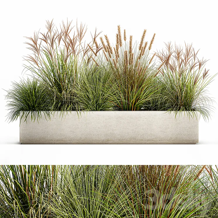 Collection of plants in a pot Pampas grass reeds flowerbed landscaping bushes. Set 1074. 3DS Max