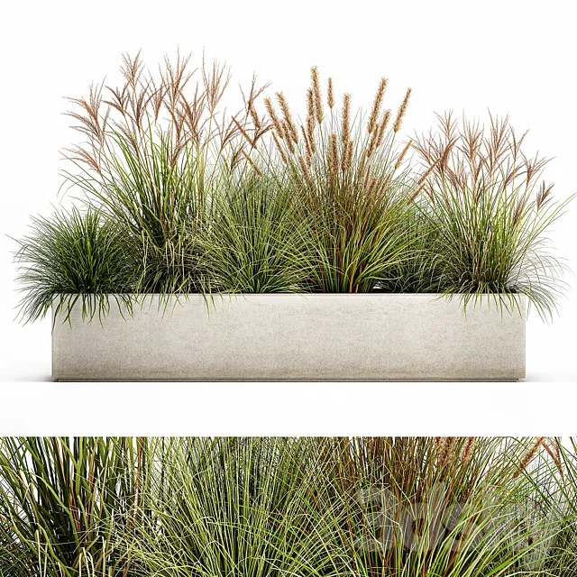 Collection of plants in a pot Pampas grass. reeds. flowerbed. landscaping. bushes. Set 1074. 3DSMax File