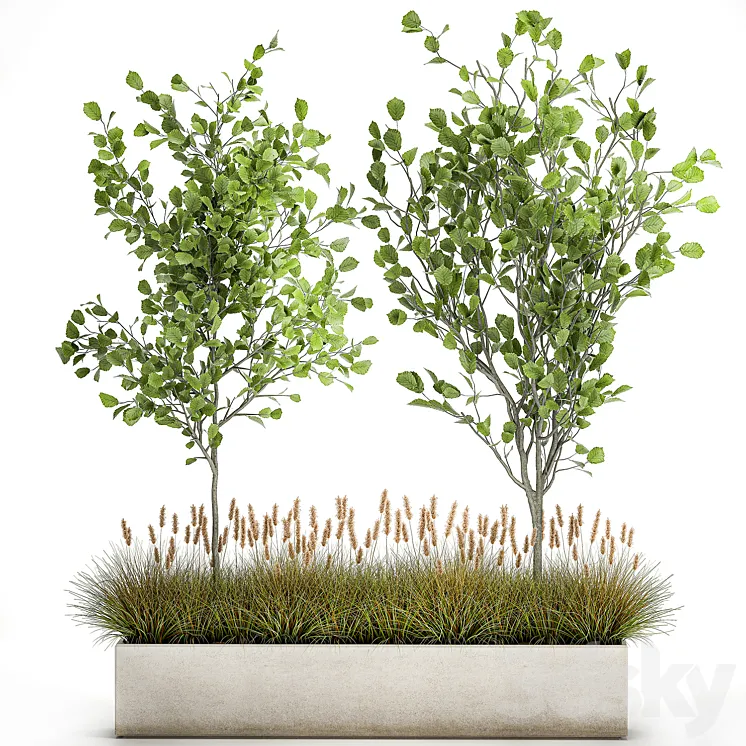 Collection of plants in a pot with hazel linden and reed trees bushes. 1066 3DS Max