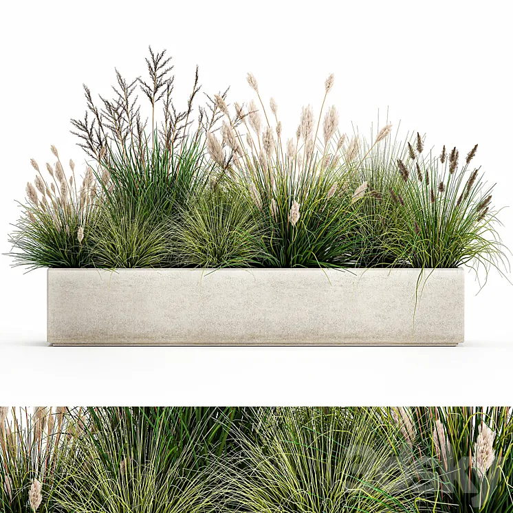 Collection of plants in a pot with pampas grass reeds flowerbed bushes landscaping. Set 1076. 3DS Max