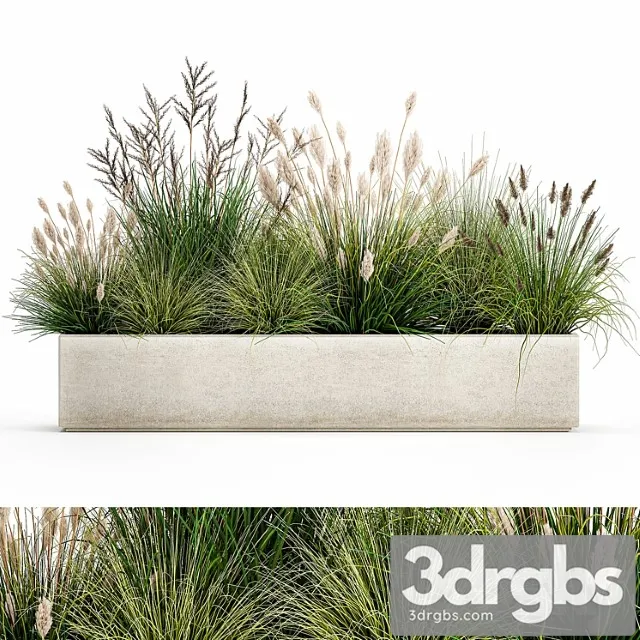 Collection of plants in a pot with pampas grass, reeds, flowerbed, bushes, landscaping. set 1076.