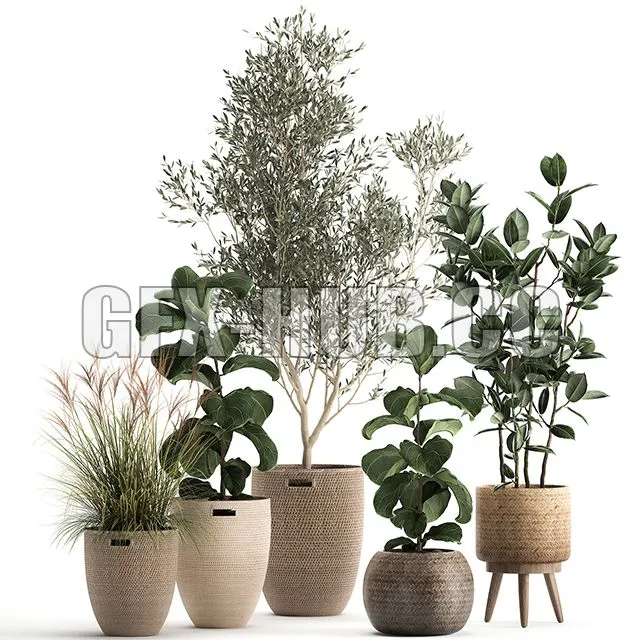 Collection of plants in baskets Set 972 3dsMax Model