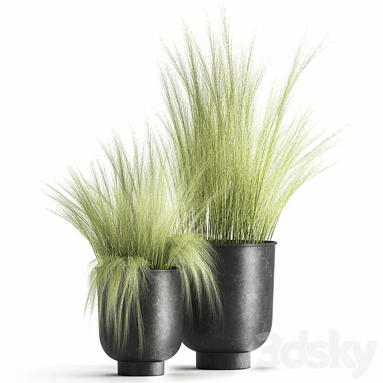 Collection of plants in black metal pots with bush grass grass. Set 1004. 3DS Max