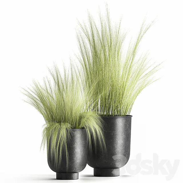 Collection of plants in black metal pots with bush grass grass. Set 1004. 3DSMax File
