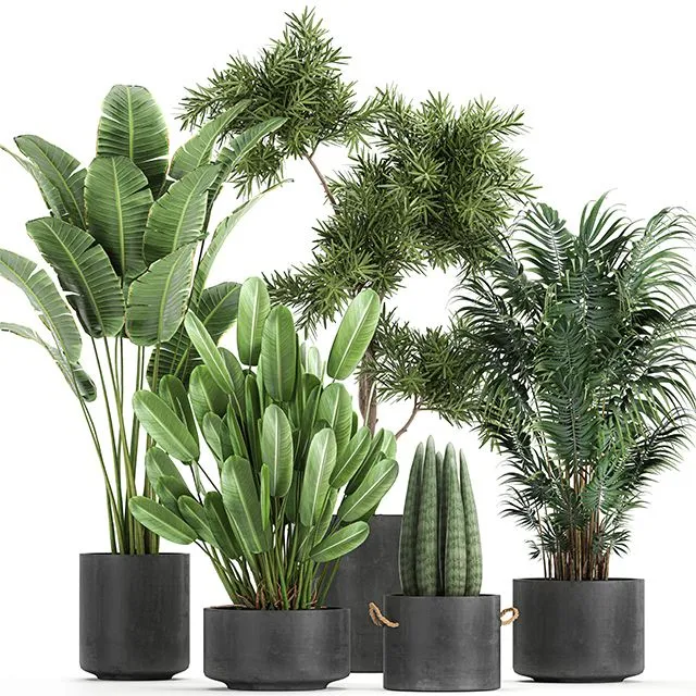Collection of plants in concrete pots Set 754 3dsMax Model