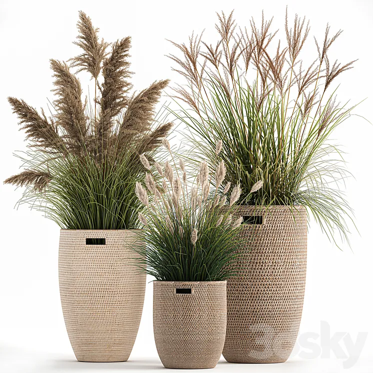 Collection of plants in flower baskets with Pampas grass weinik reeds for landscape design. Set 1025. 3DS Max