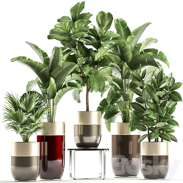 Collection of plants in gold pots Godwin Longhi luxury with Banana palm ficus luxury decor. Set 858. 3DS Max Model