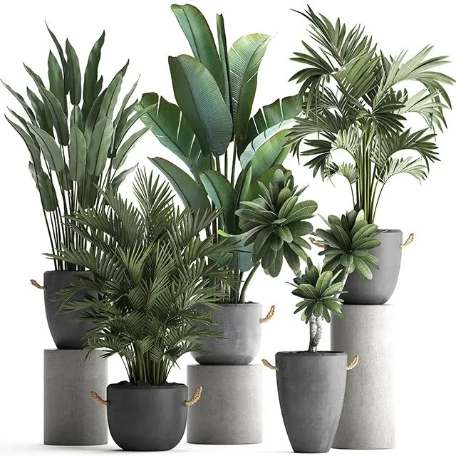 Collection of plants in modern concrete outdoor pots Set 402 3dsMax Model