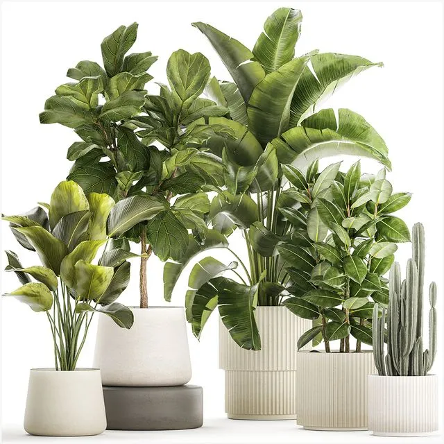 Collection of plants in modern white pots Set 1359 3dsMax Model