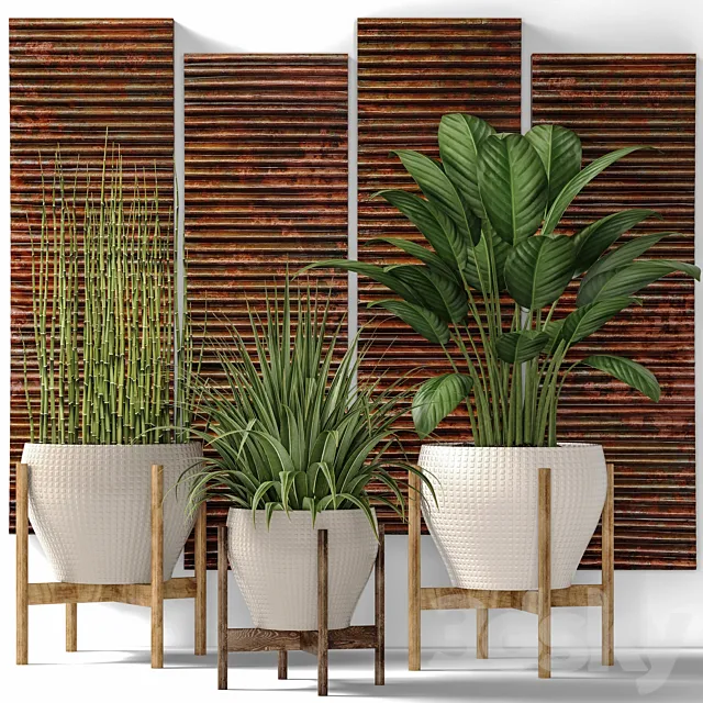 Collection of plants in pots 6. Flower pot bush flowerpot interior indoor alocasia copper decor panels wall decor Uttermost paintings abstraction luxury 3ds Max