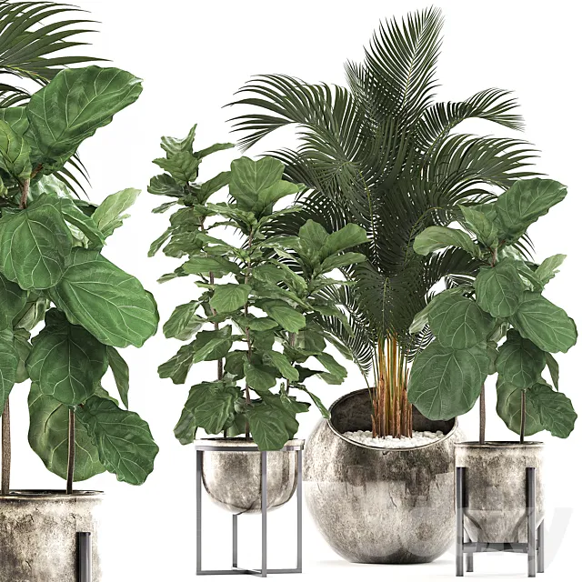 Collection of plants in stylish modern pots with round flowerpot with Palm Ficus lyrata pot luxury. Set 474. 3ds Max