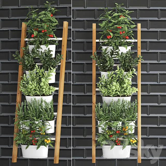 Collection of plants kitchen garden vegetable garden in pots buckets railing ladder black tile apron with vegetables tomatoes rosemary basil Vertical landscaping. Set 35. 3ds Max