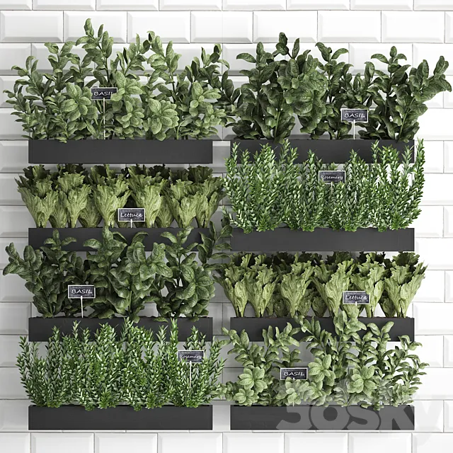 Collection of plants kitchen garden vegetable garden in wooden wall pots garden bed with white tiles apron with vegetables rosemary basil lettuce Vertical gardening. Set 38. 3ds Max