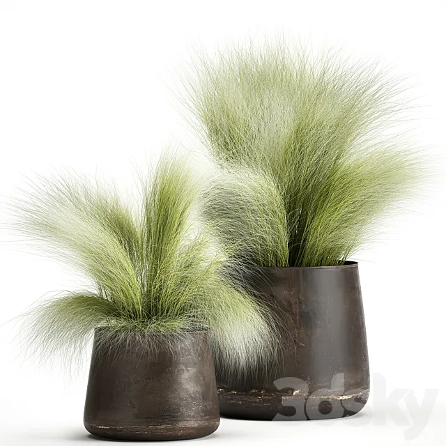 Collection of plants of fluffy bushes in outdoor pots Grass grass hummock. Set 908. 3DS Max Model