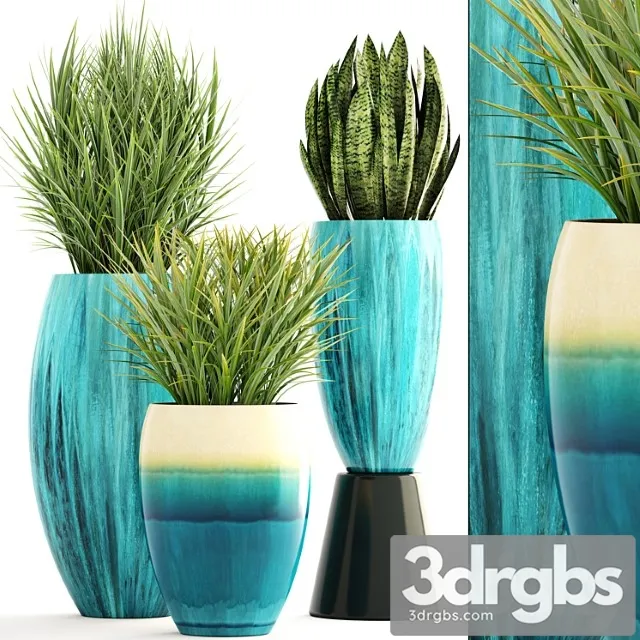 Collection of plants. pot, flowerpot, street decor, landscape design, bush, grass, sansevieria, turquoise, interior, decorative, chlorophytum