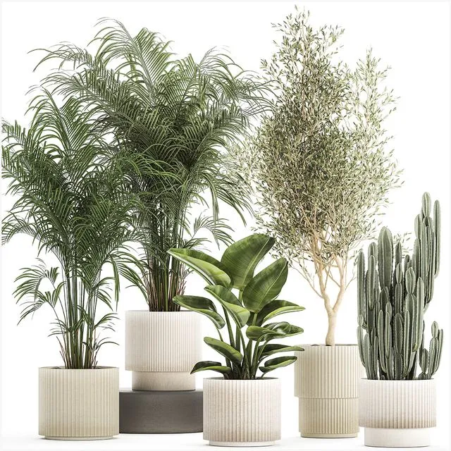 Collection of plants Set 1368 3dsMax Model