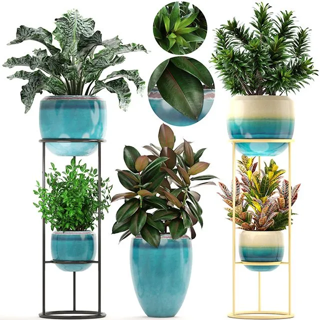 Collection of plants. Shelf with flowers 3dsMax Model