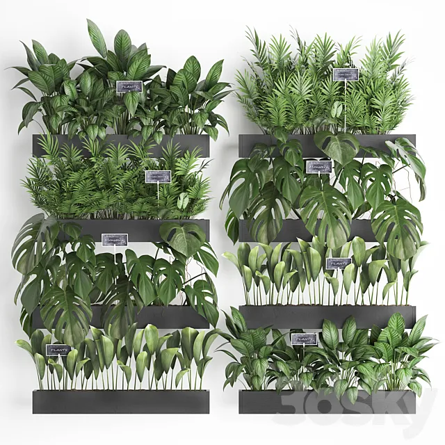 Collection of plants vertical gardening in wooden wall-mounted black pots shelves with monstera areca palm bush. Set 41. 3DS Max Model