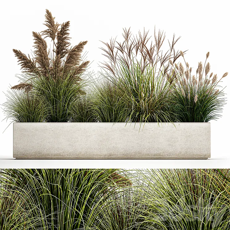 Collection of potted plants with Pampas grass reeds flower bed bushes landscaping. Set 1078 3DS Max