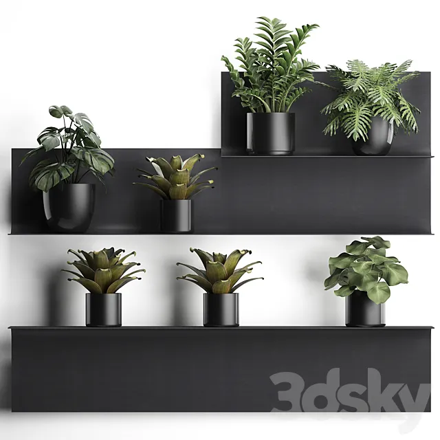 Collection of small plants black metal shelf with flowers in pots with monstera Zamiokulkas Chlorophytum Philodendron bromelia loft. Set 49. 3DS Max Model