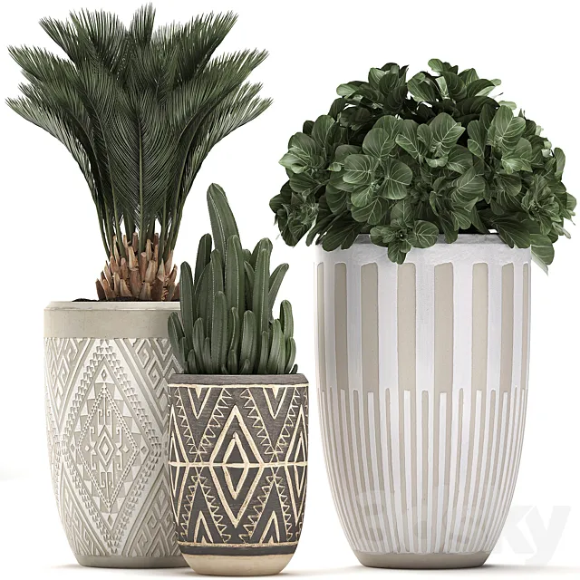 Collection of small plants in ethnic aged pots with Cactus Date palm flower. Set 476. 3ds Max