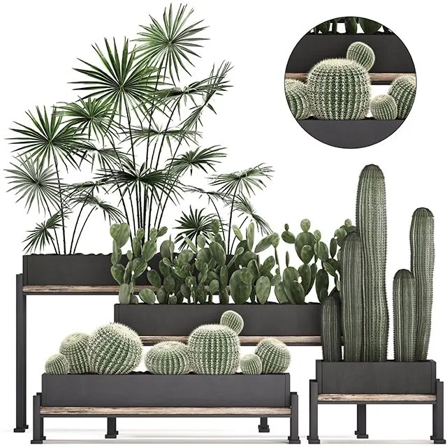 Collection of small plants Set 462 3dsMax Model