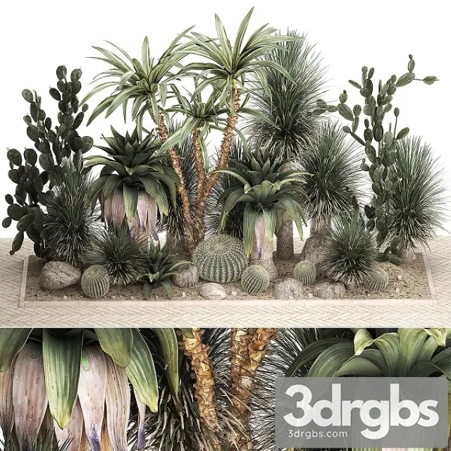 Collection Of Tropical Desert Plants 1108 3dsmax Download