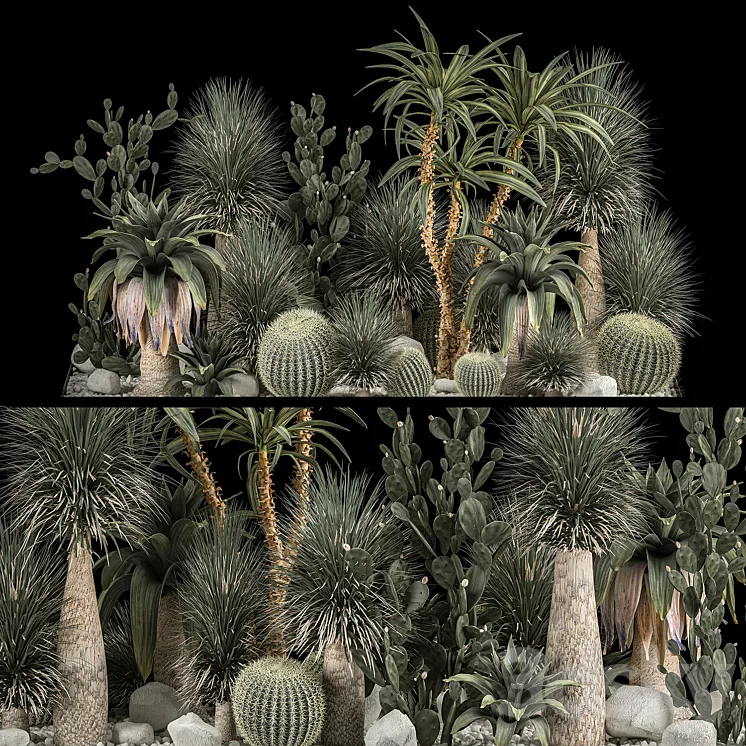 Collection of tropical plants of the desert 1117. cactus yucca prickly pear thickets bushes garden dracaena 3DS Max Model