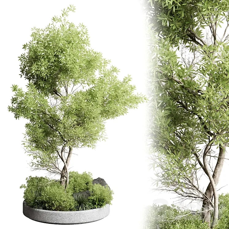Collection outdoor indoor 85 pot plant & tree & bush 3DS Max Model