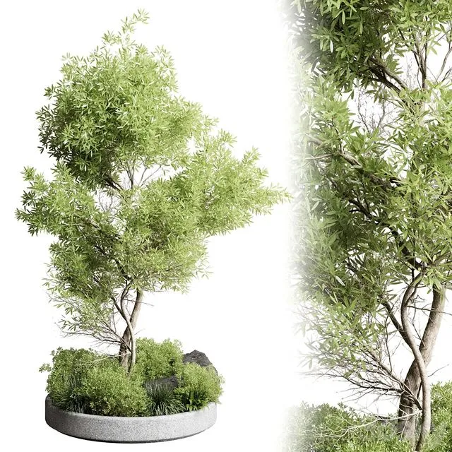 Collection outdoor indoor 85 pot plant & tree & bush 3dsMax Model