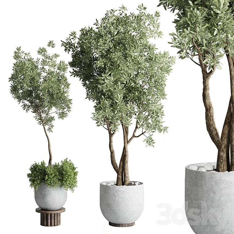 Collection Outdoor Indoor plant 52 concrete dirt vase pot tree 3DS Max Model