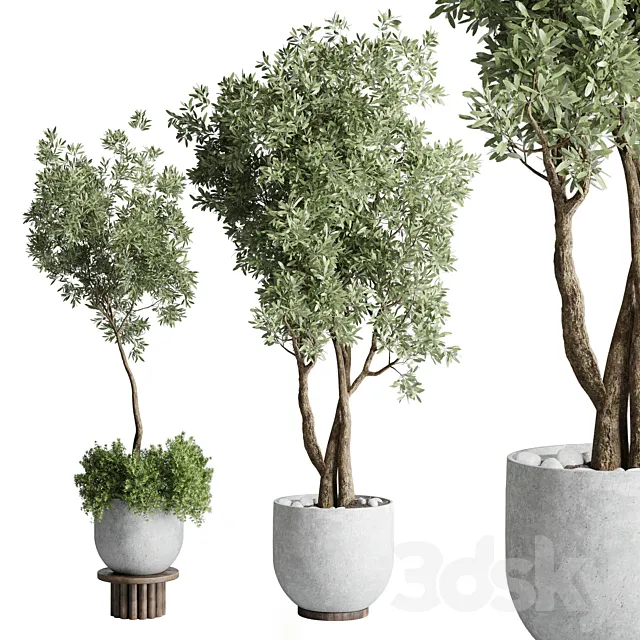 Collection Outdoor Indoor plant 52 concrete dirt vase pot tree 3DSMax File