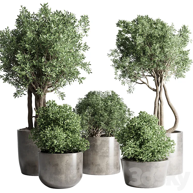 Collection Outdoor Indoor plant 53 concrete dirt vase pot tree bush 3DS Max