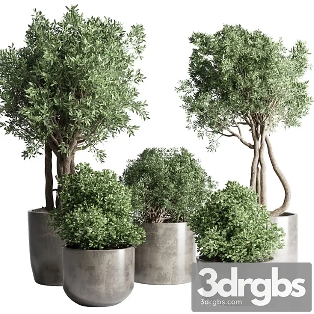 Collection outdoor indoor plant 53 concrete dirt vase pot tree bush