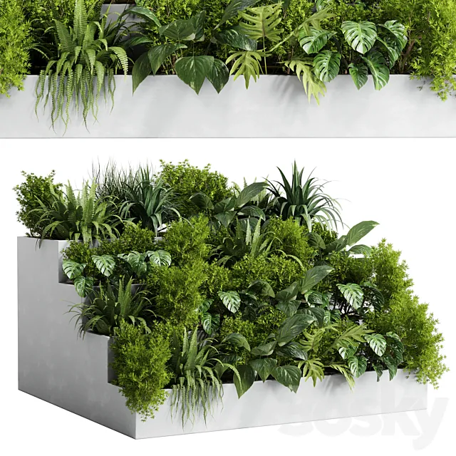 Collection outdoor indoor plant 54 stairs concrete vase pot fern bush grass ficus rubbery 3DSMax File